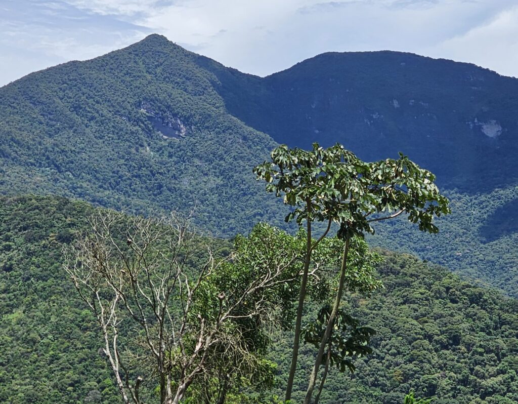 Serra da Mantiqueira - Bioma Mata Atlântica