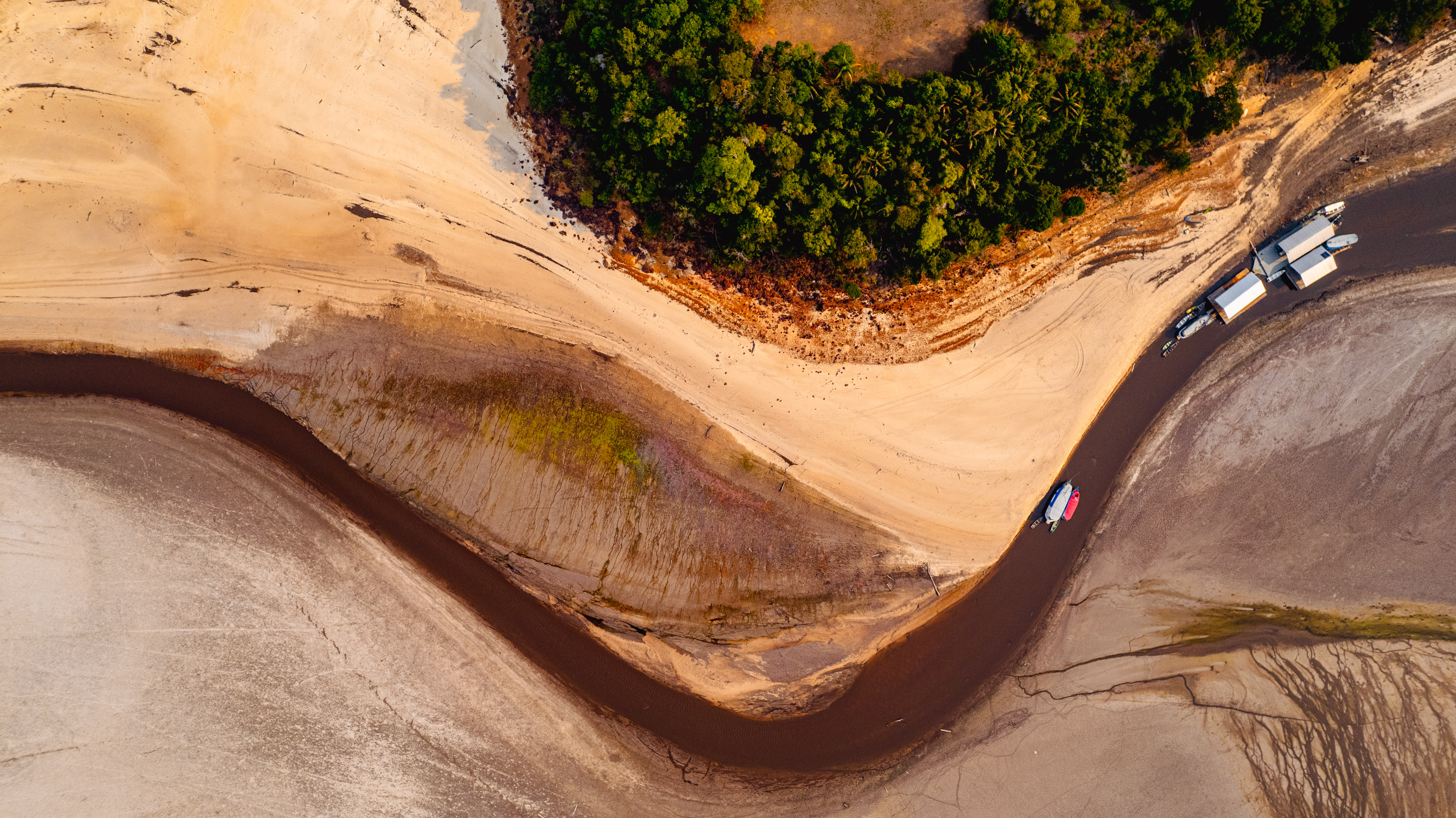 Riscos graves para a próxima decada: Crises climática e perda de biodiversidade