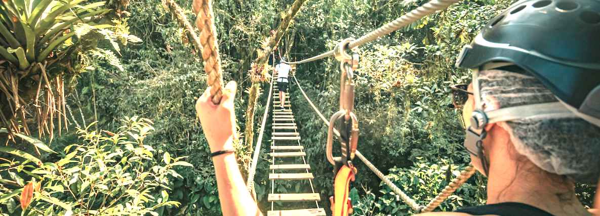 Ecoturismo na Mata Atlântica é simbolo de sustentabilidade