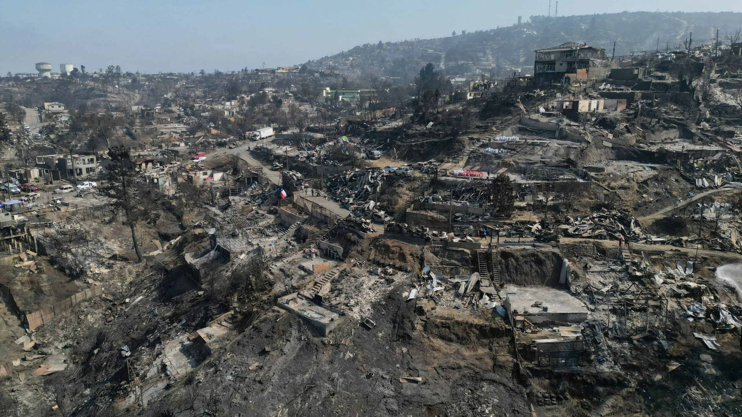 Incêndios florestais no Chile ameaçam Reserva Mundial da Biosfera