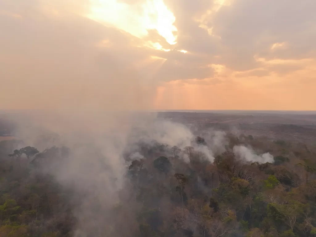 queimada recorde na Amazônia em fevereiro