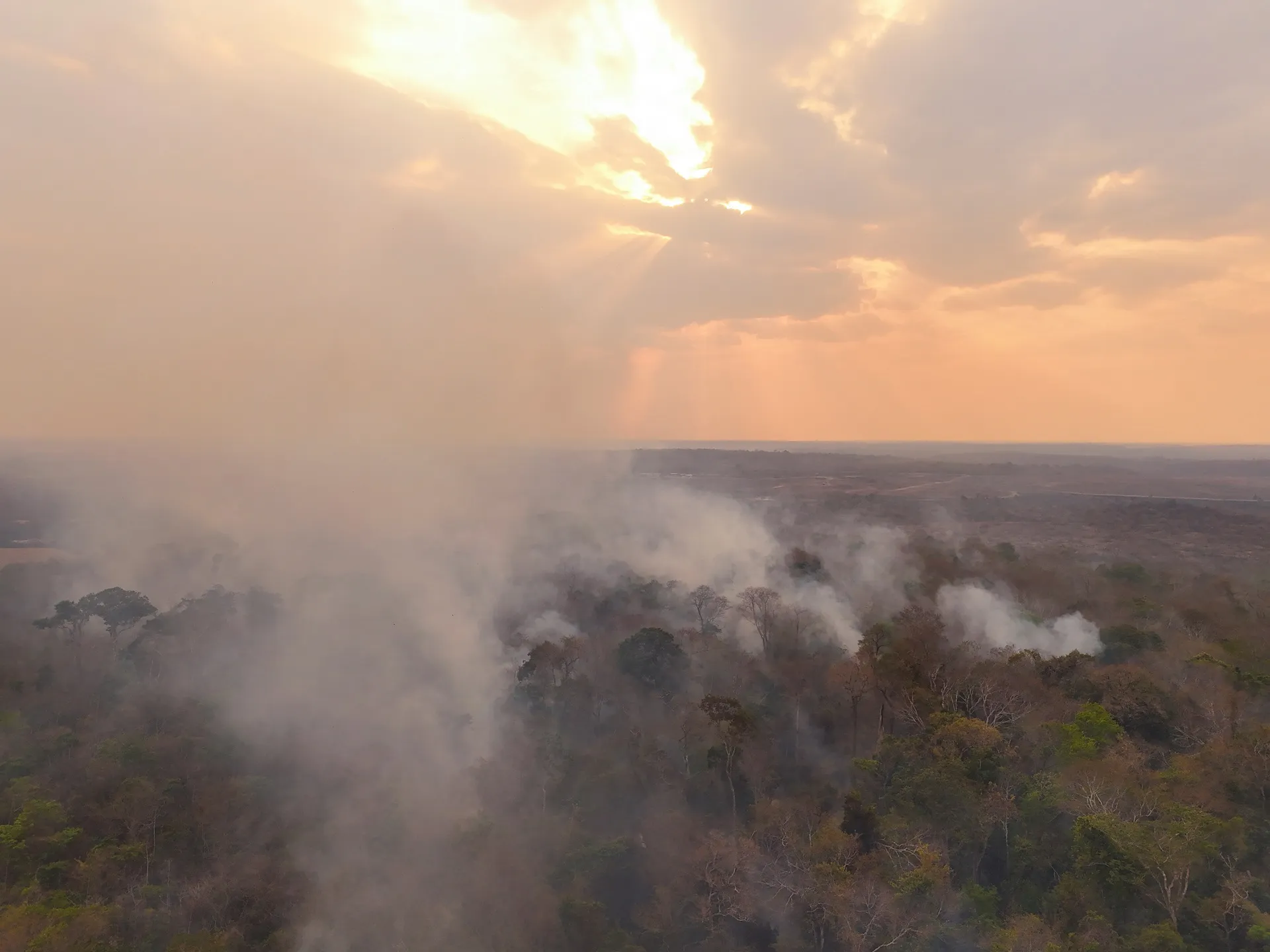 Amazônia: queimada recorde em fevereiro