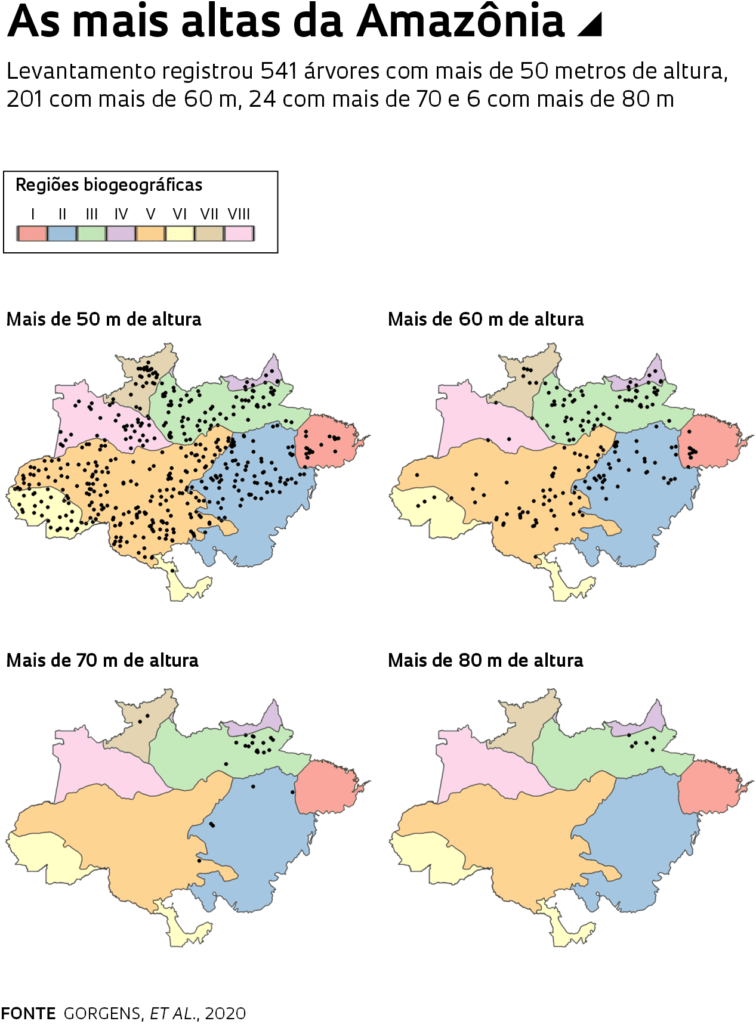 árvores gigantes do Brasil