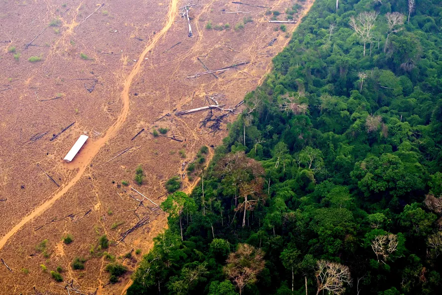 Desmatamento na Amazônia cai 63% no primeiro bimestre, mas os problemas continuam