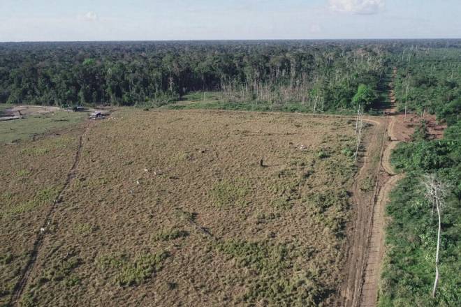 Zona de desenvolvimento sustentável incentivou desmatamento na fronteira entre os estados do Amazonas, Acre e Rondônia