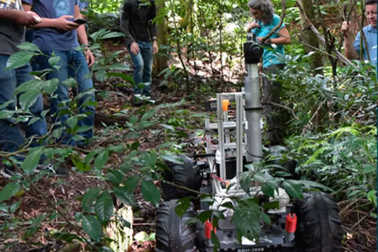 Brasileiros lideram equipe finalista em concurso global de tecnologia para florestas tropicais