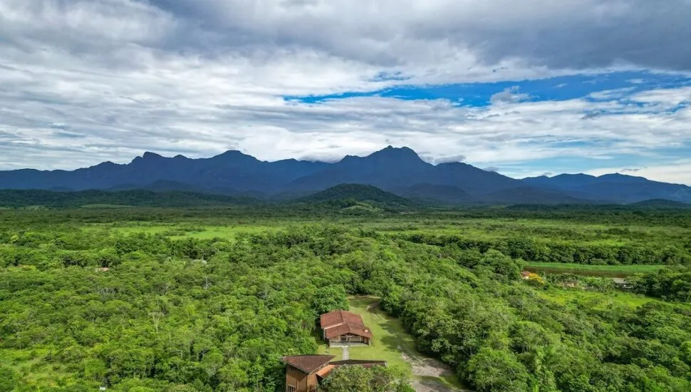 Projeto visa salvar 50 hectares de mata nativa e 77 espécies no Litoral do Paraná