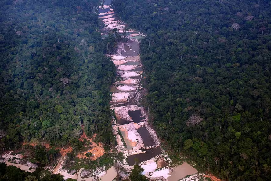 Amazônia pode atingir ponto de não retorno até 2050