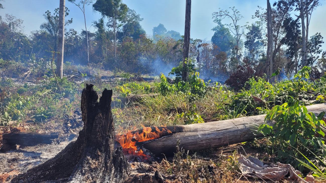 Estudo mostra que proibições emergenciais de incêndio são insuficientes