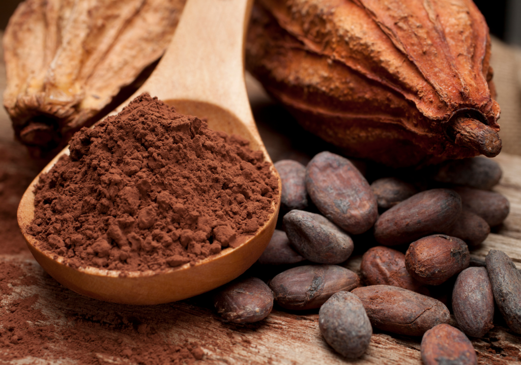 vírus em cacau afeta produção de chocolate