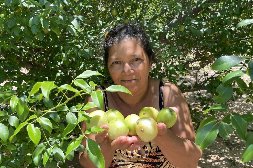 frutas nativas na transição entre Caatinga e Cerrado
