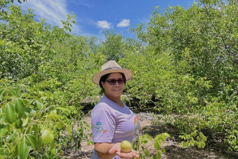 frutas nativas na transição entre Caatinga e Cerrado