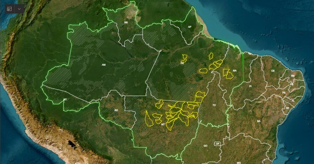 Projeto entre USP e Ibama propõe avaliação de indicadores sobre desmatamento na Amazônia
