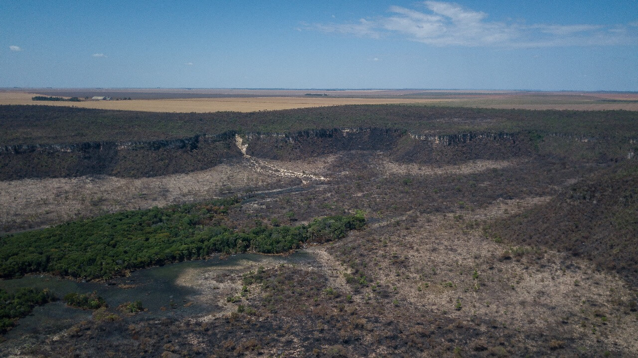 Desmatamento no Brasil em 2023: Cerrado lidera e Matopiba se destaca