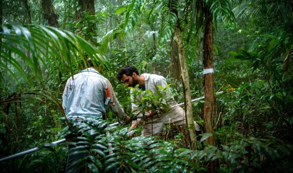 Estudo propõe mudanças para simplificar legislação da Mata Atlântica e aumentar a conservação