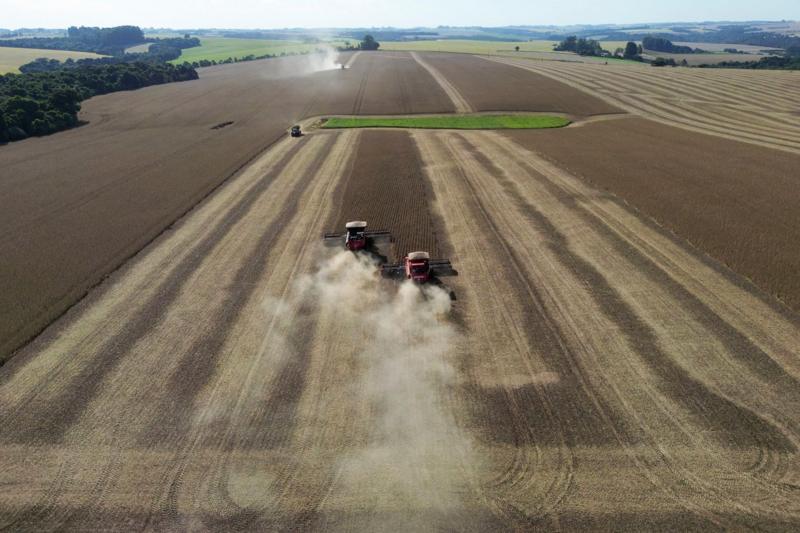 Troca de vegetação nativa por soja contribuiu com as enchentes no Rio Grande do Sul