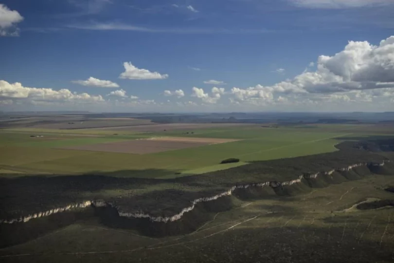 Desmatamento e irrigação de monoculturas fazem rios do Cerrado minguarem