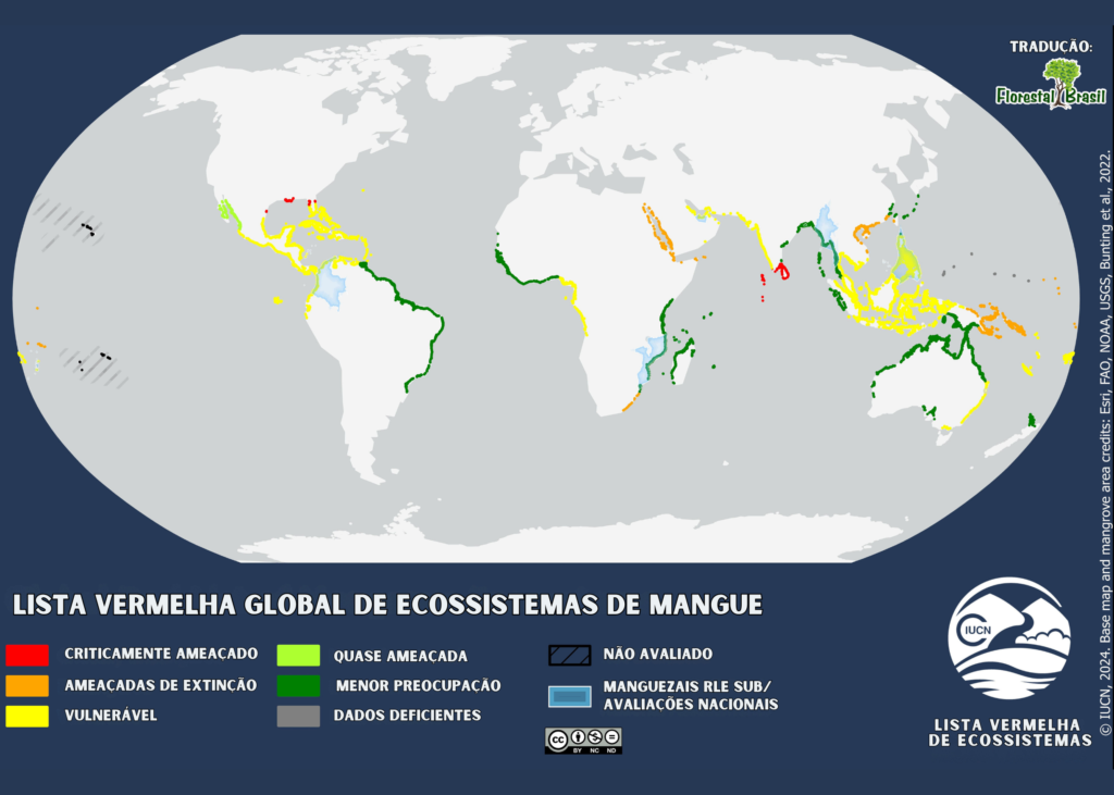 Mais da metade de todos os ecossistemas de mangue em risco de colapso até 2050