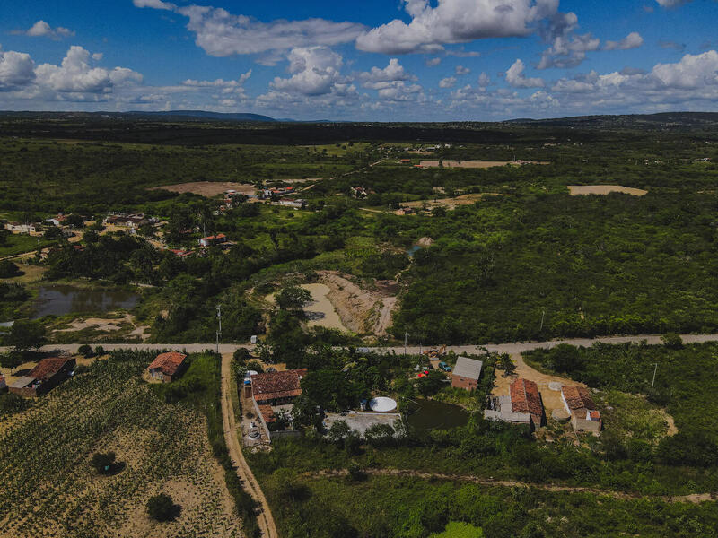 A agrofloresta mudou a vida de uma famíla na Caatinga