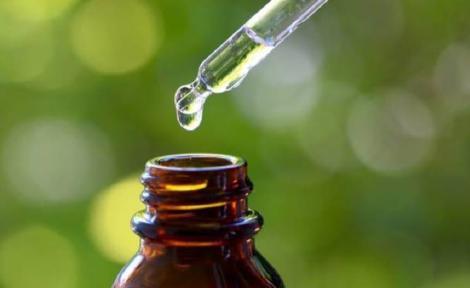 Homeopatia para plantas: Startup revoluciona o agronegócio com tratamento natural para plantios