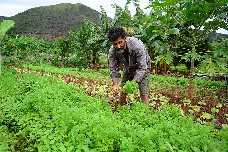 Grito da Terra Brasil aponta a diferença entre a agricultura familiar para o agronegócio