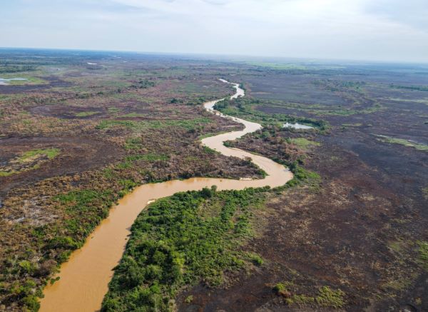 Pantanal pode ter a pior seca da história no ano de 2024