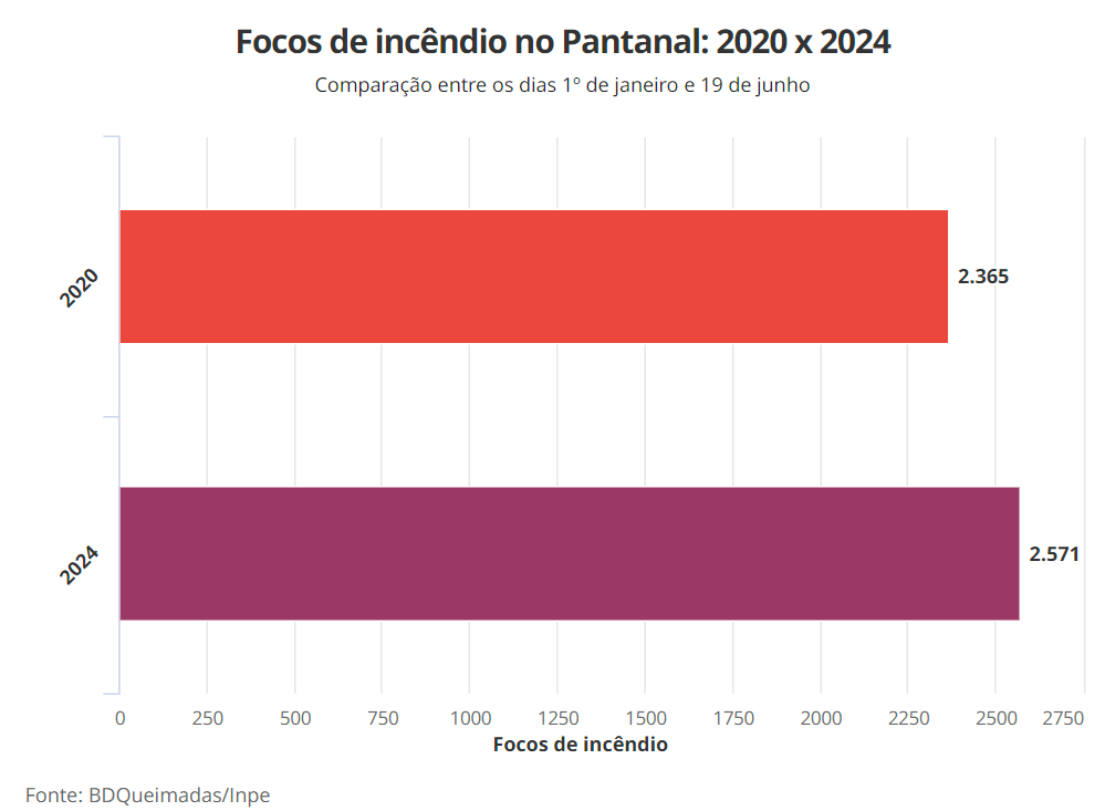 Incêndio no Pantanal em 2024