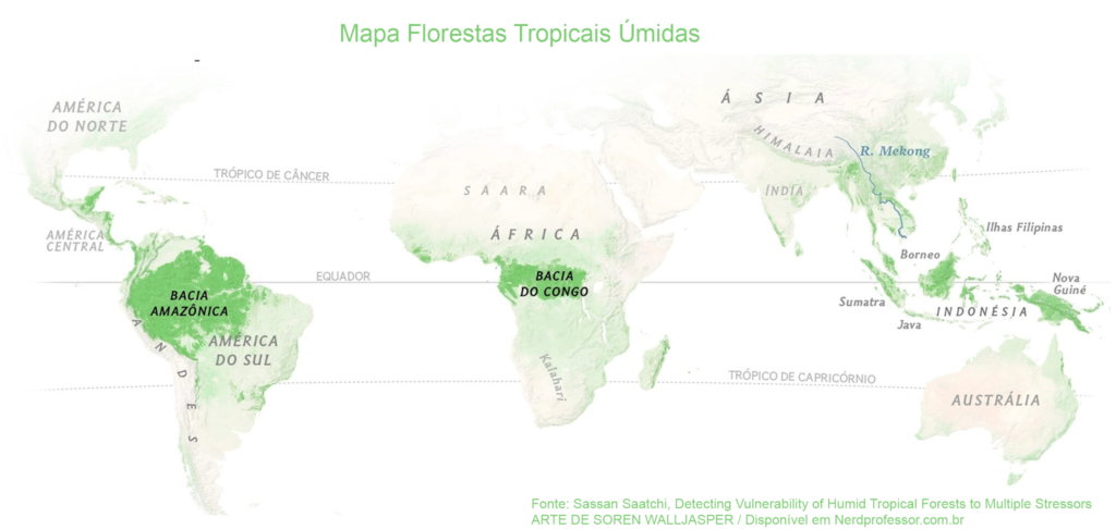 floresta tropical