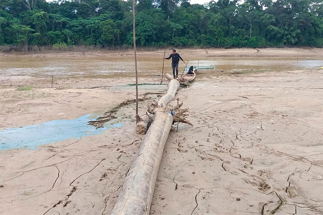 Amazonas deverá ter seca pior do que em 2023