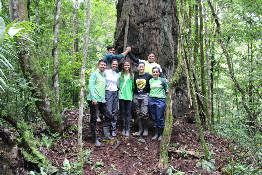 Pesquisadores (as) do Estado do Amapá e Pará embaixo da árvore gigante de 73 metros de altura que encontra-se na Florestal do Paru, PA.