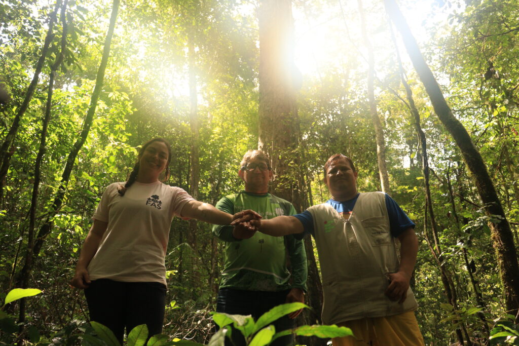 Parque Estadual Ambiental das Árvores Gigantes