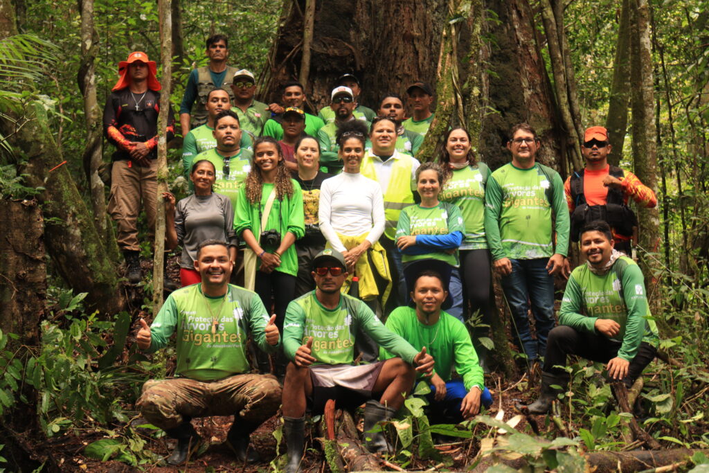 Parque Estadual Ambiental das Árvores Gigantes