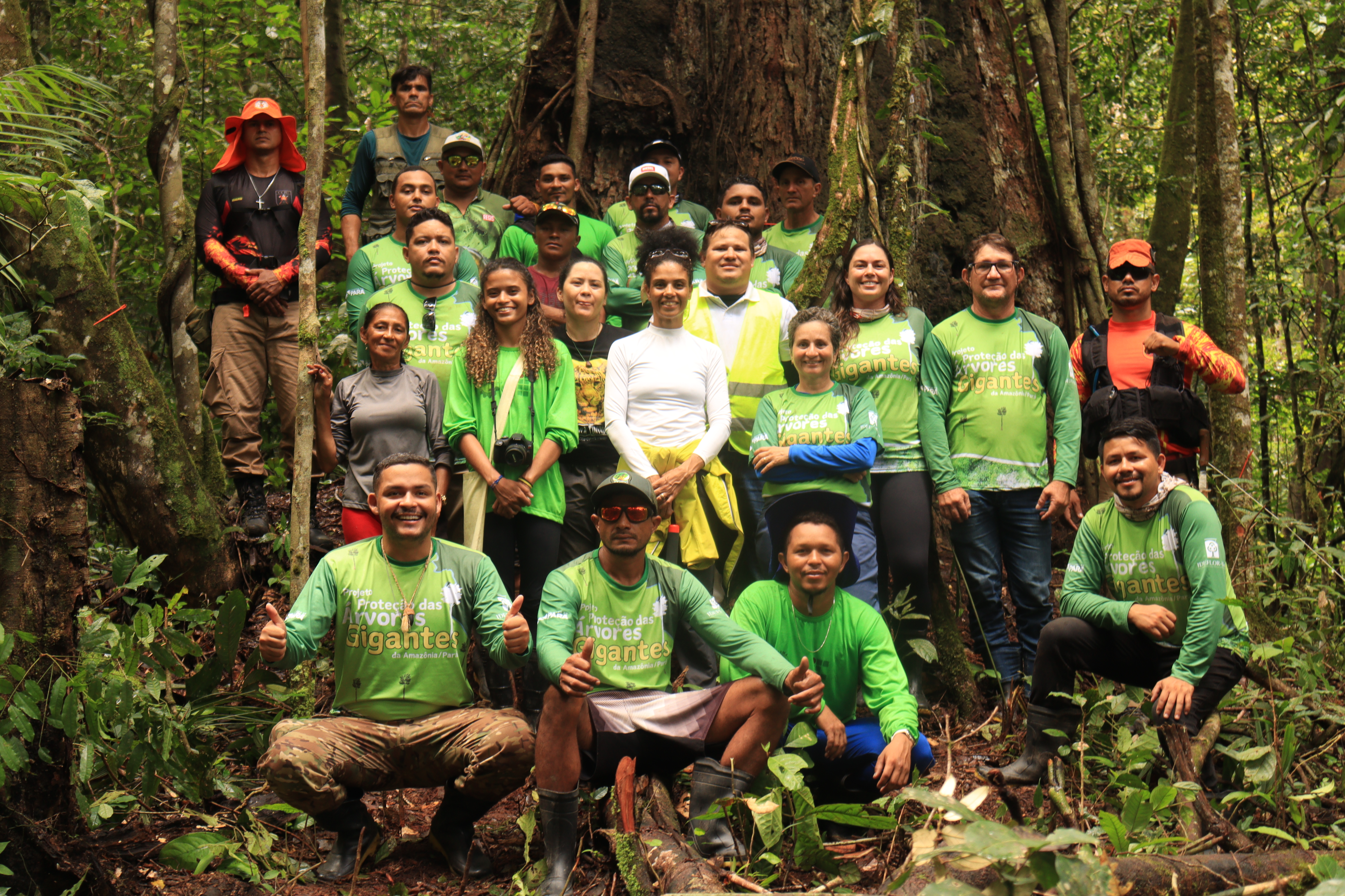 Um possível novo parque para proteção das Árvores Gigantes da Amazônia
