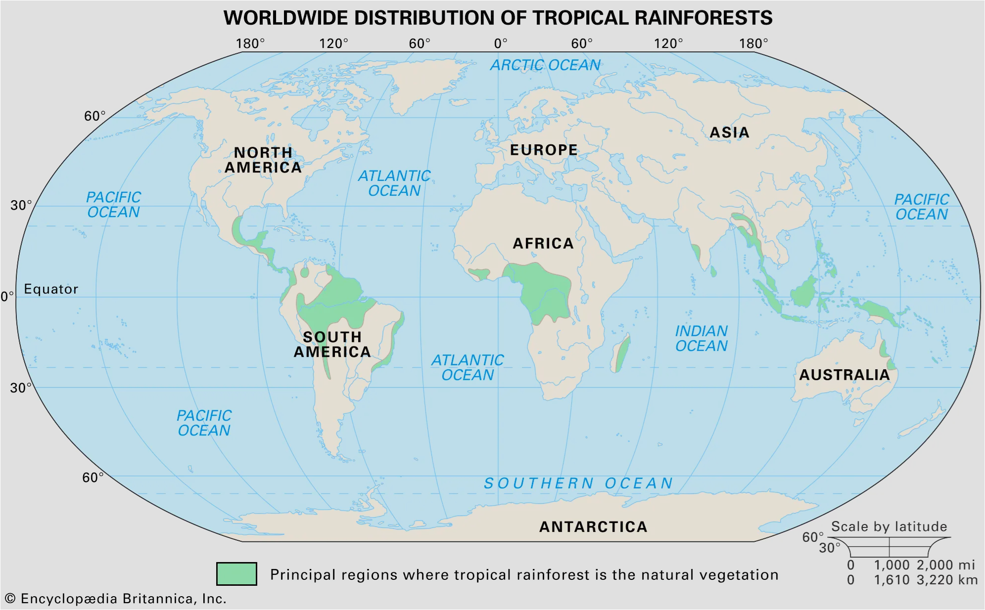 Floresta tropical pelo mundo