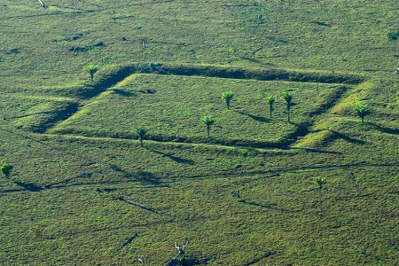 Cientistas se unem a povos da Floresta Amazônica para proteger sítios arqueológicos em risco