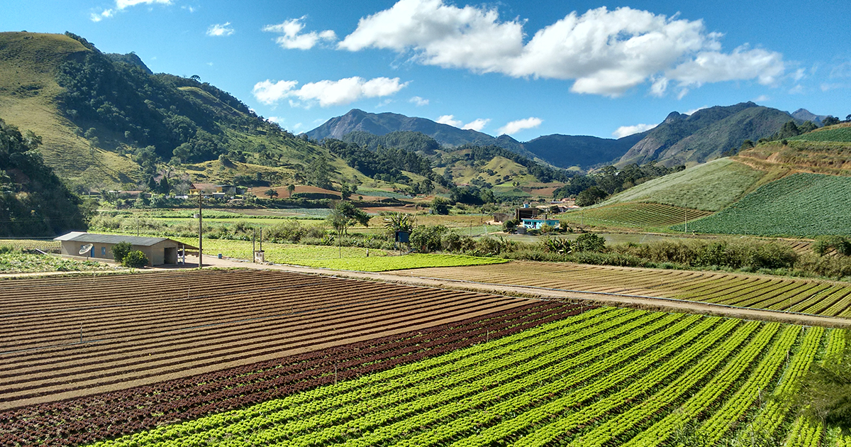 Novo documento aponta propostas para uso sustentável dos recursos naturais na agropecuária brasileira