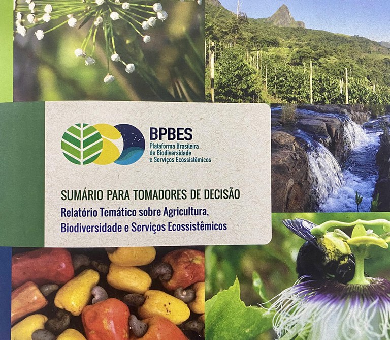 Se Novo Código Florestal fosse cumprido, Brasil teria 32 milhões de hectares de vegetação nativa a mais até 2050