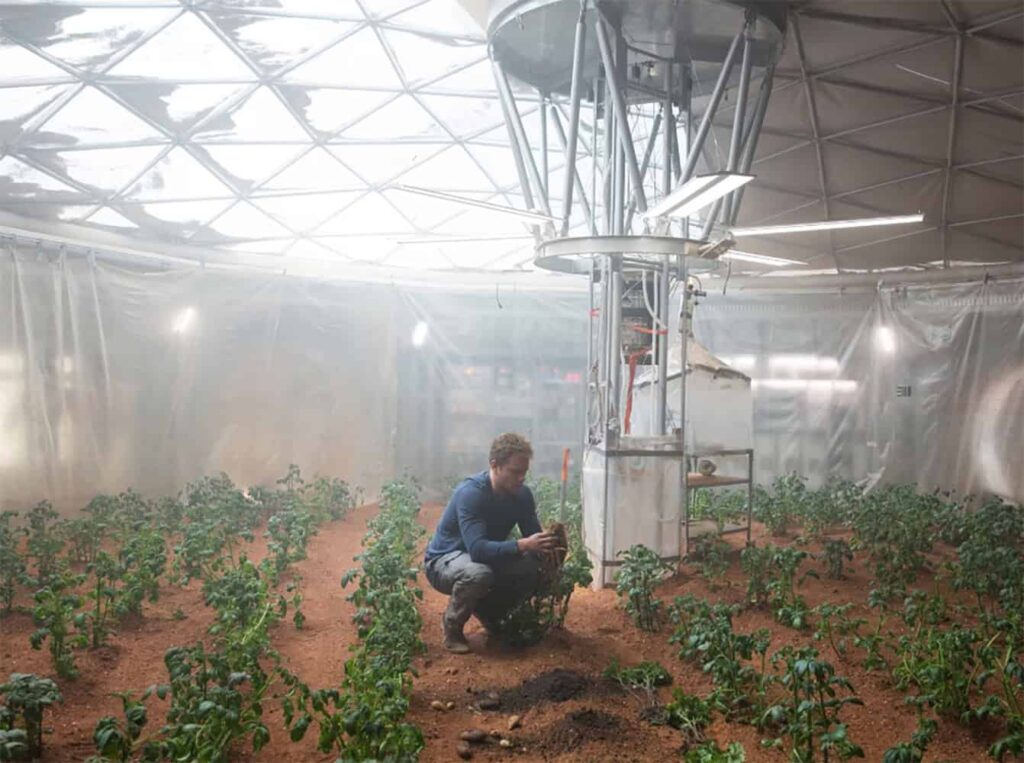 planta capaz de sobreviver em marte