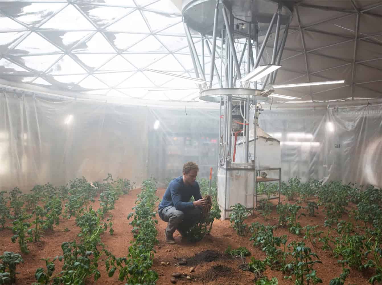 Uma espécie de musgo da Terra é capaz de sobreviver em Marte