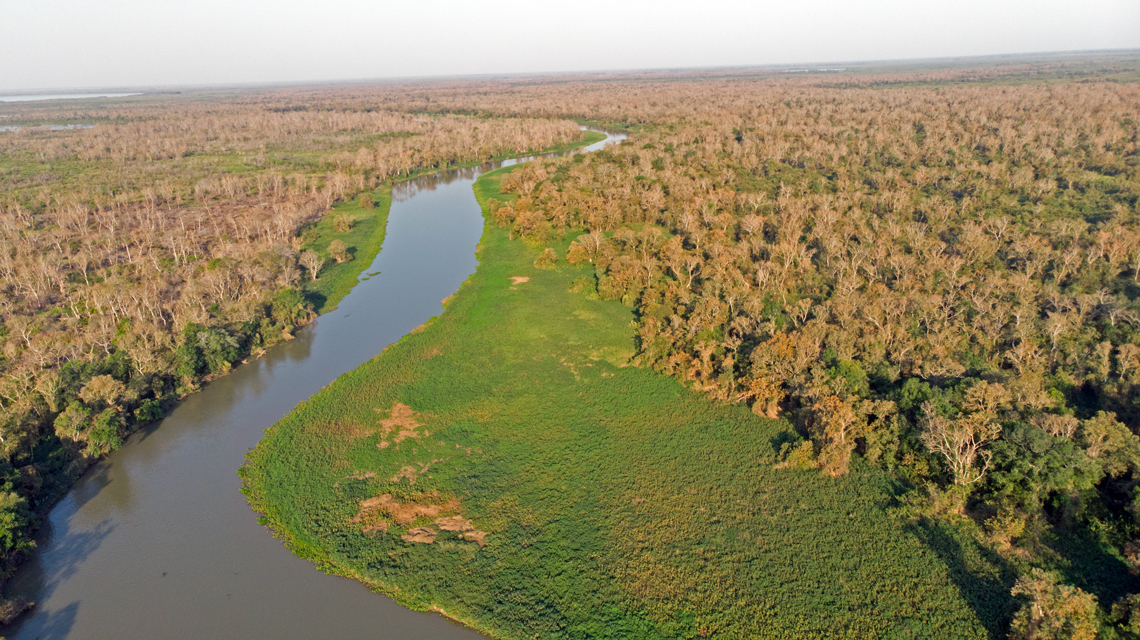 Atual queimada pode mudar para sempre o bioma do Pantanal