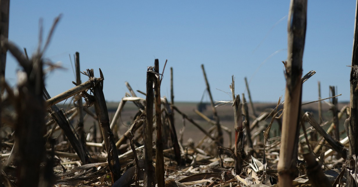 No Brasil, índices ambientais reduzem produtividade agrícola que tecnologia ajuda a elevar