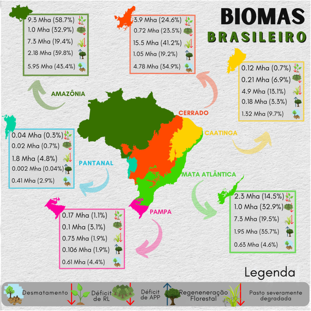 Para cada bioma brasileiro, a área de déficit de vegetação nativa em Reservas Legais (RL) e Unidades de Proteção Permanente (APP), pastagens severamente degradadas em 2021, desmatamento total de vegetação nativa de 2017-2022 e rebrota de vegetação entre 2017-2022 fora de terras públicas, unidades de conservação (exceto RPPNs e APAs) e Terras Indígenas.