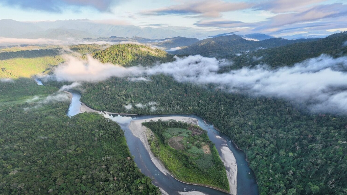 40% da região amazônica está sob algum manejo de conservação