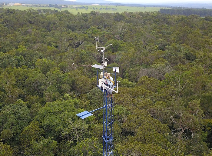 Rede com mais de 80 câmeras monitora impactos das mudanças do clima no ciclo de vida das plantas