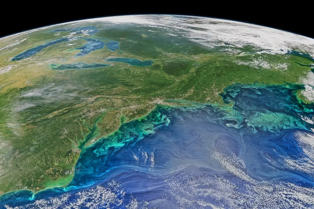 Cientistas querem usar ferro no oceano para combater aquecimento global; entenda