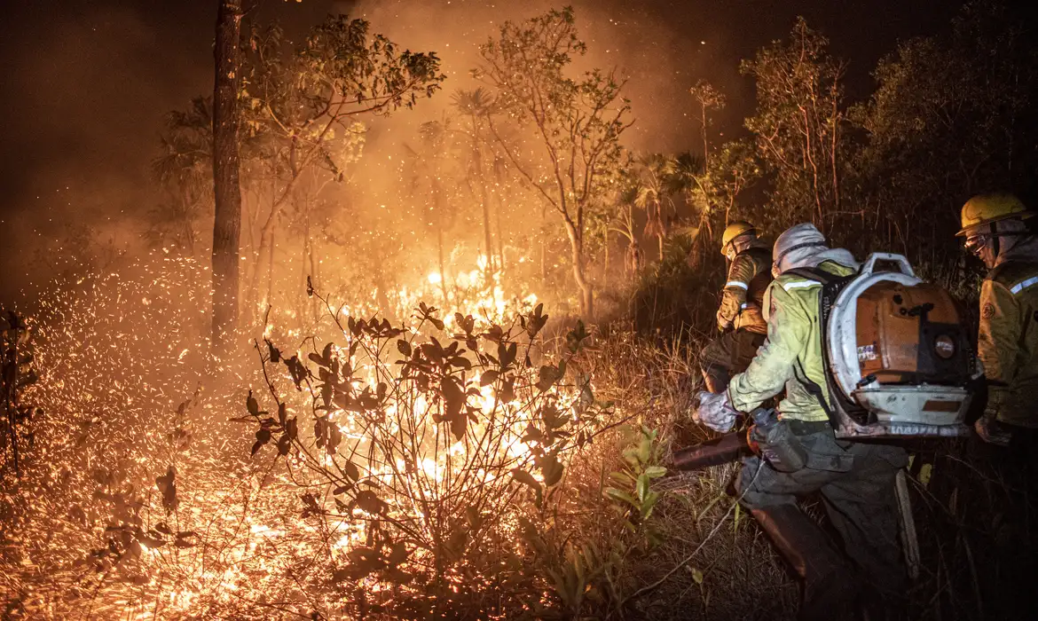 Governo aumenta em 118% efetivo contra queimadas na Amazônia, Pantanal e Cerrado