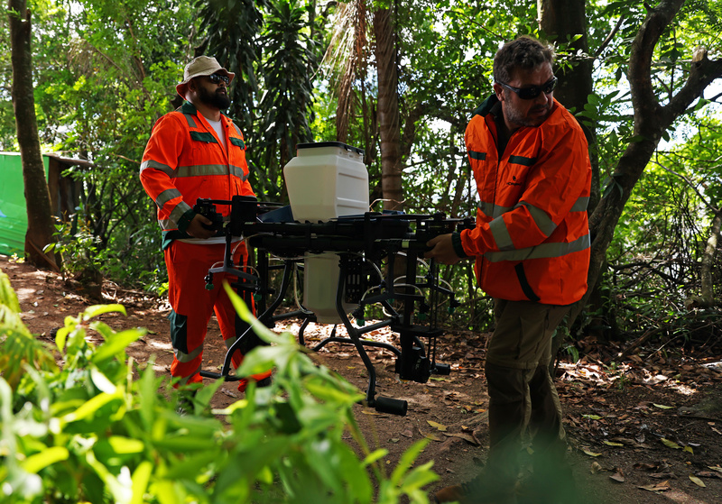 Como a tecnologia de Drones e uso de IA pode acelerar o reflorestamento