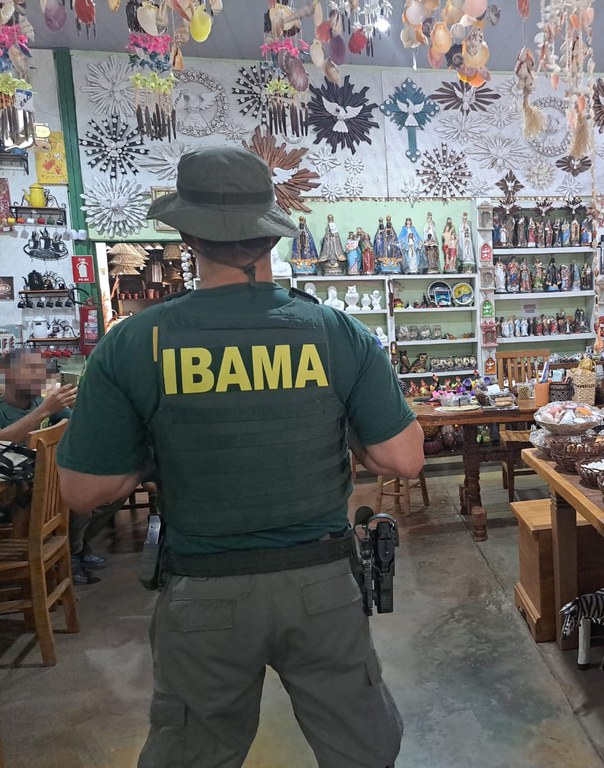 Operação Ibama combate tráfico de fauna silvestre e alerta para os perigos ao meio ambiente