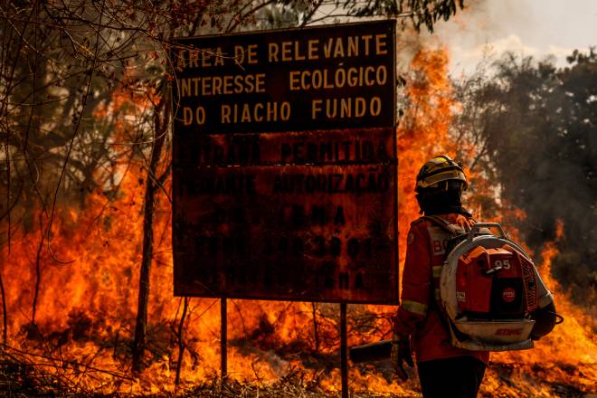 “Precisamos reconhecer que o fogo está sendo usado como ferramenta de desmatamento, não é mais apenas um reflexo de anos secos”, diz ecóloga da Unesp