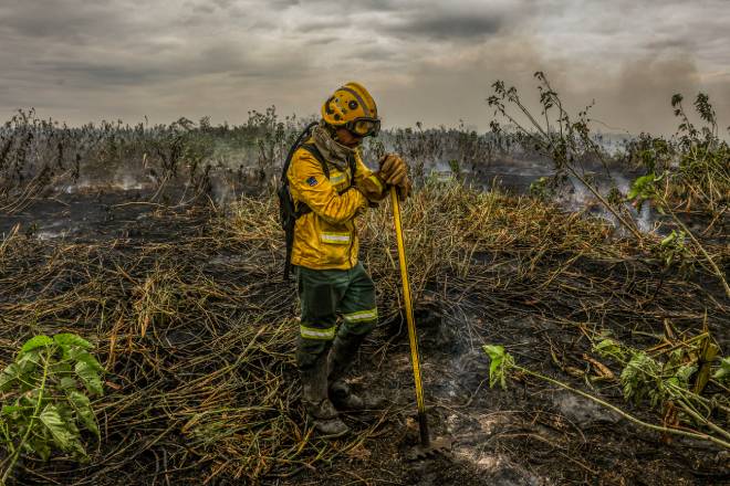 Expansão da agropecuária no Cerrado impacta a intensidade de incêndios no Pantanal